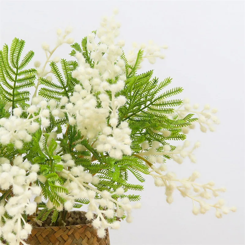 Miniature 5