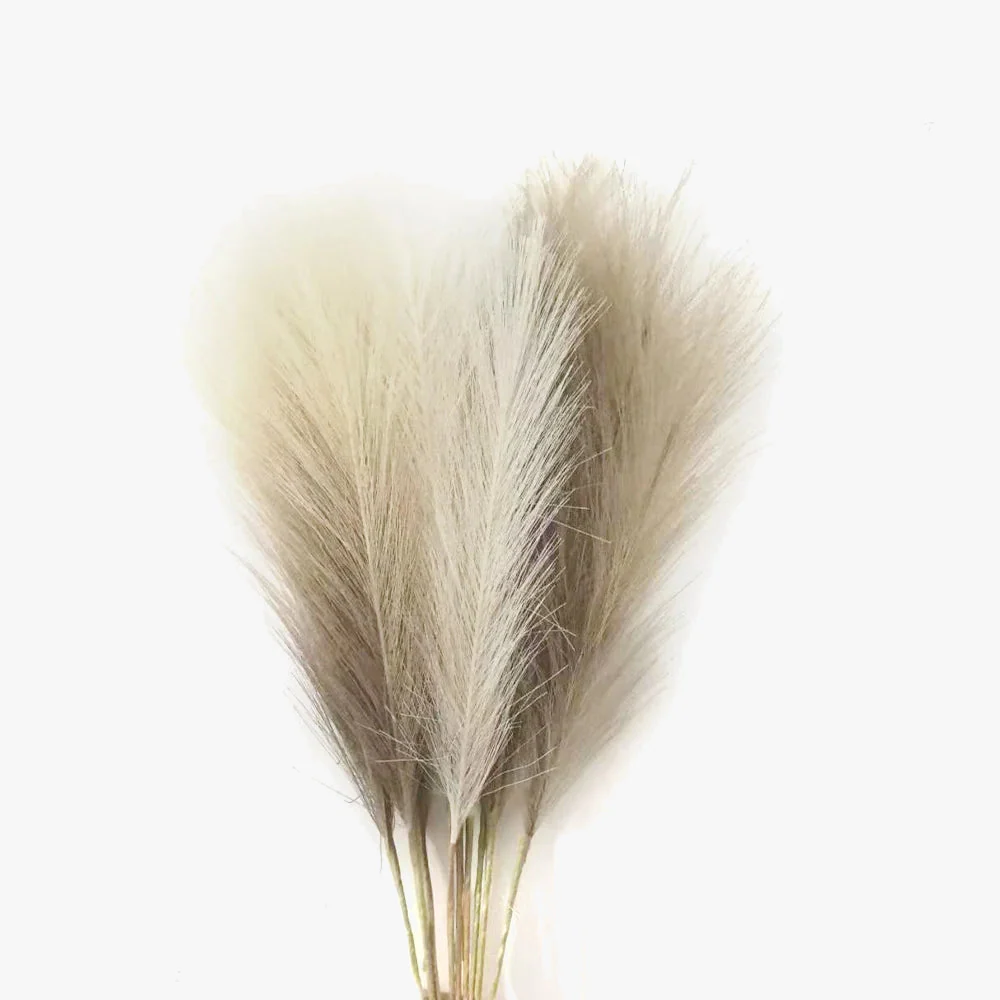 Miniature 6