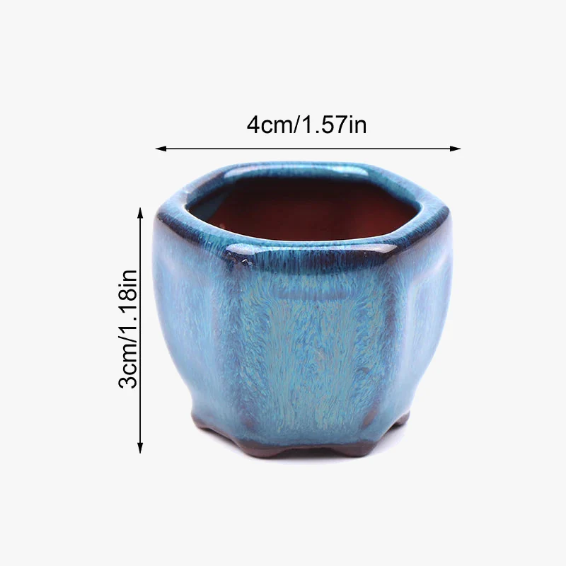 Miniature 7