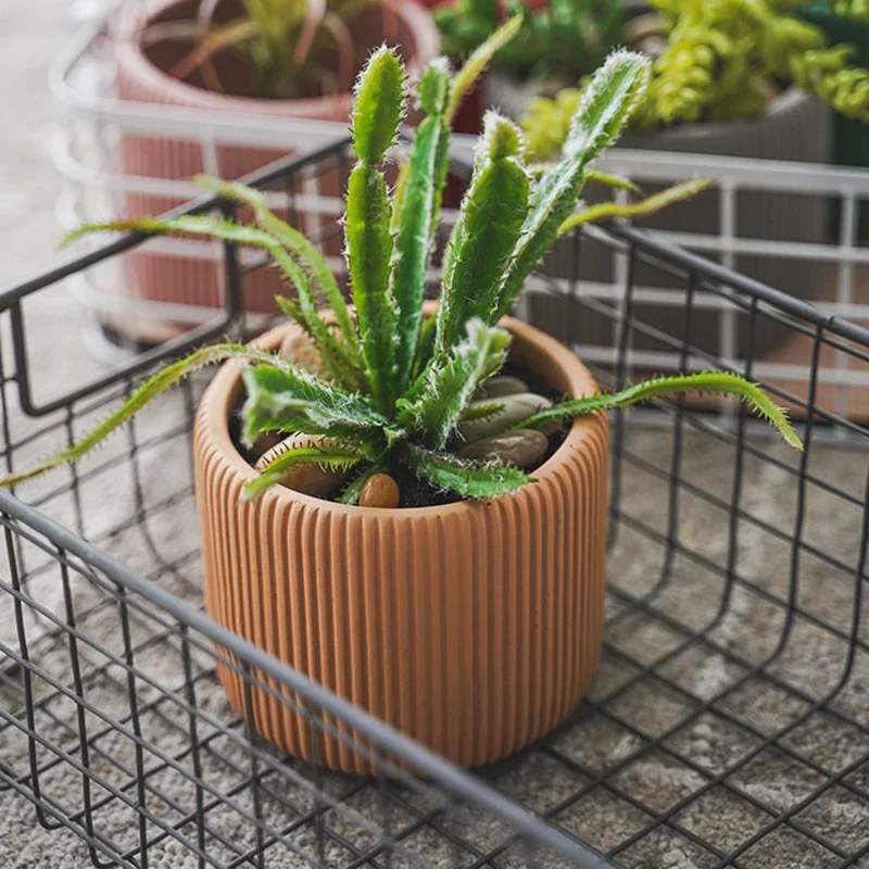 Miniature 4