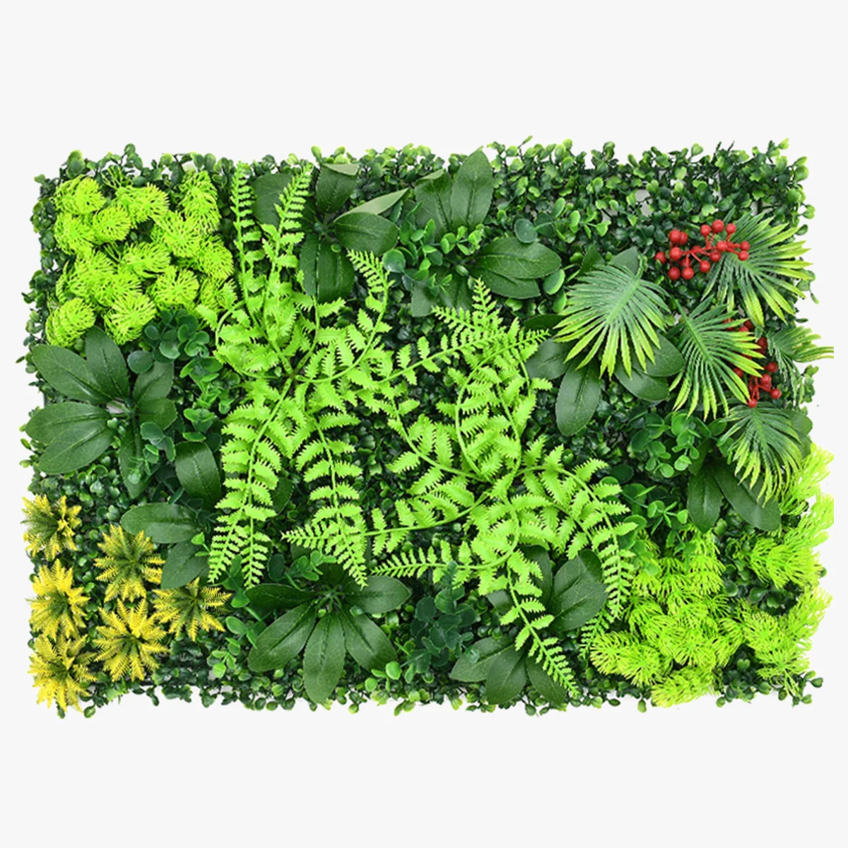 Miniature 2
