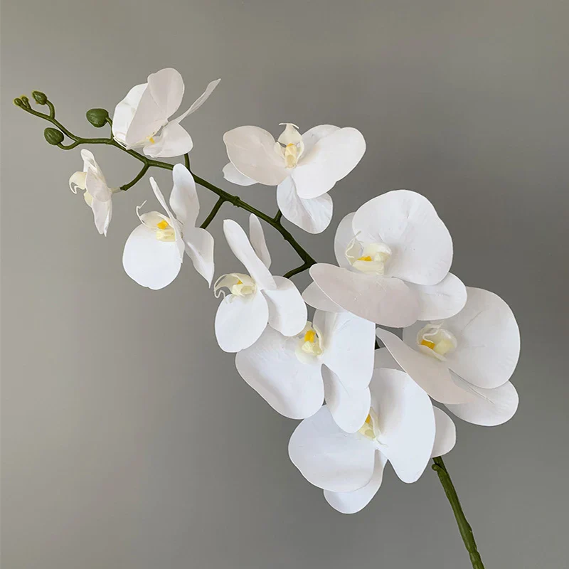 Miniature 8