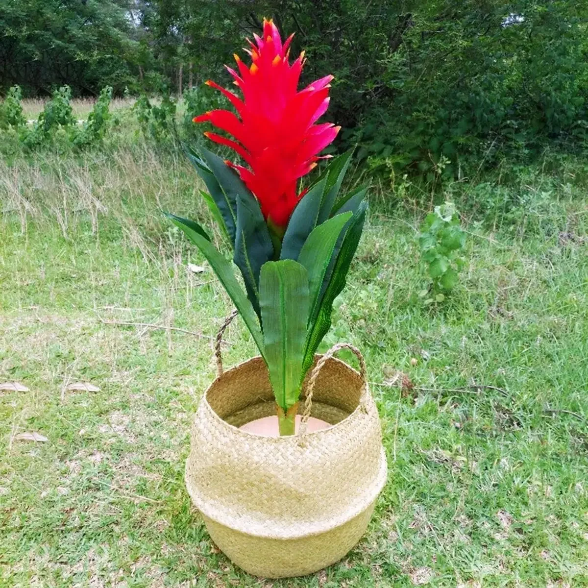 Miniature 4
