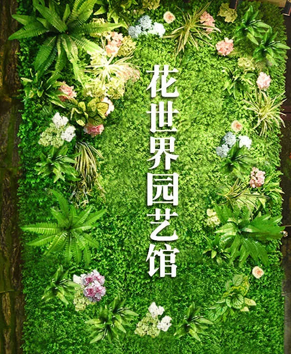 Miniature 12