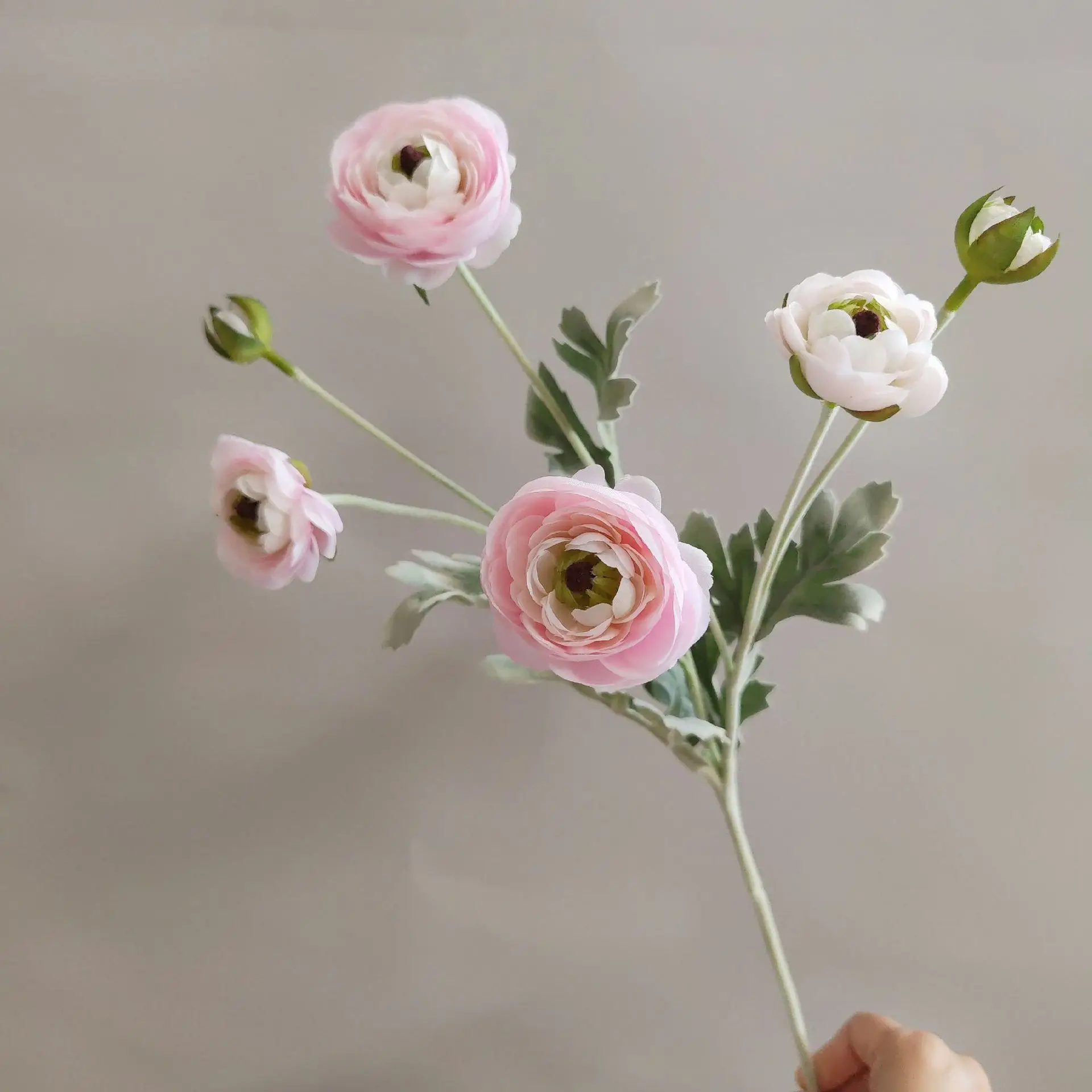 Miniature 7