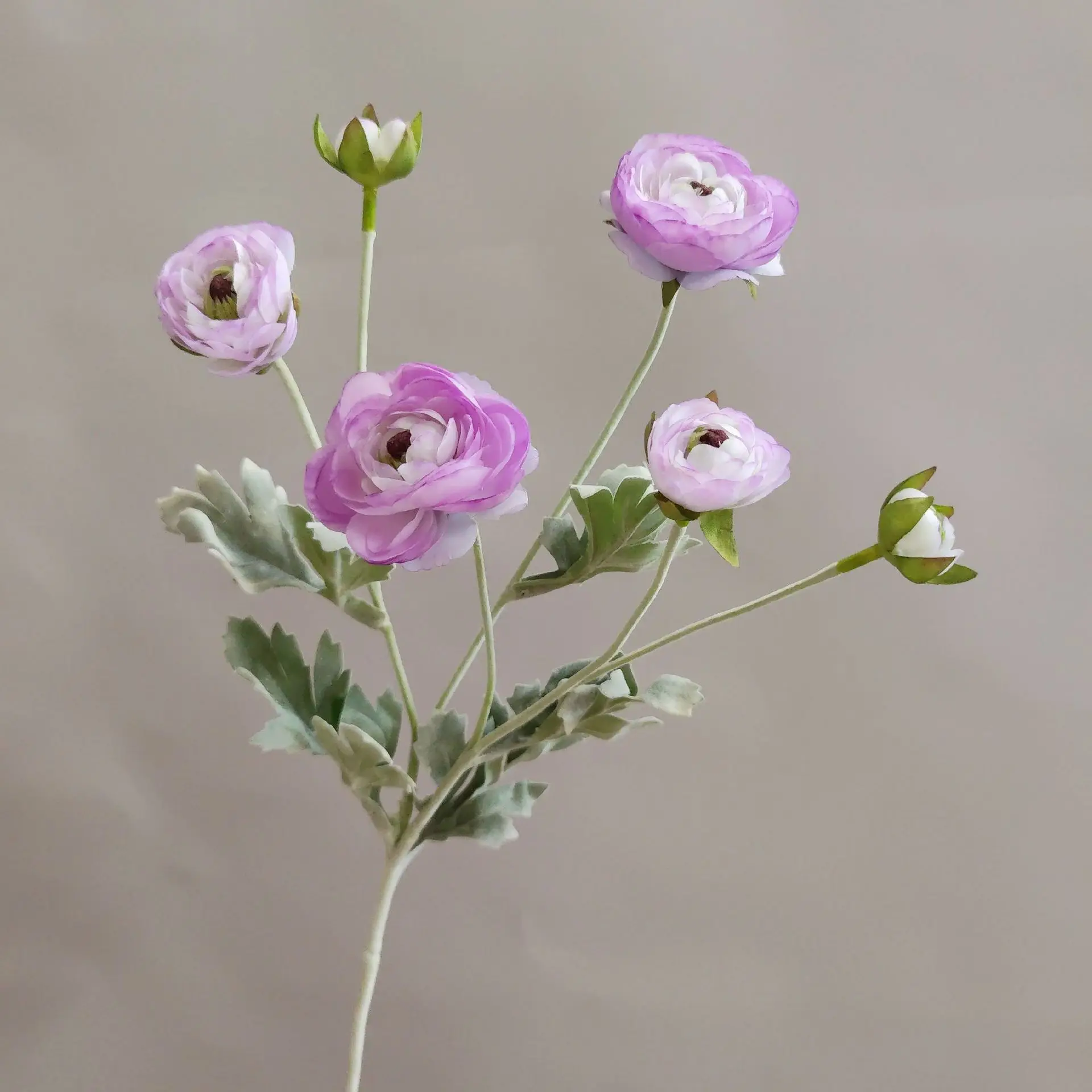 Miniature 8