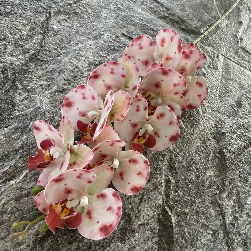 Miniature 9