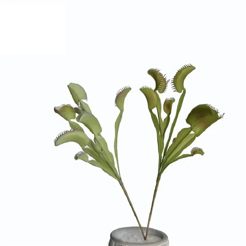 Miniature 5
