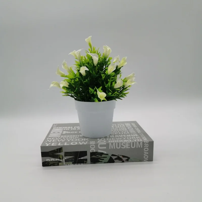 Miniature 12