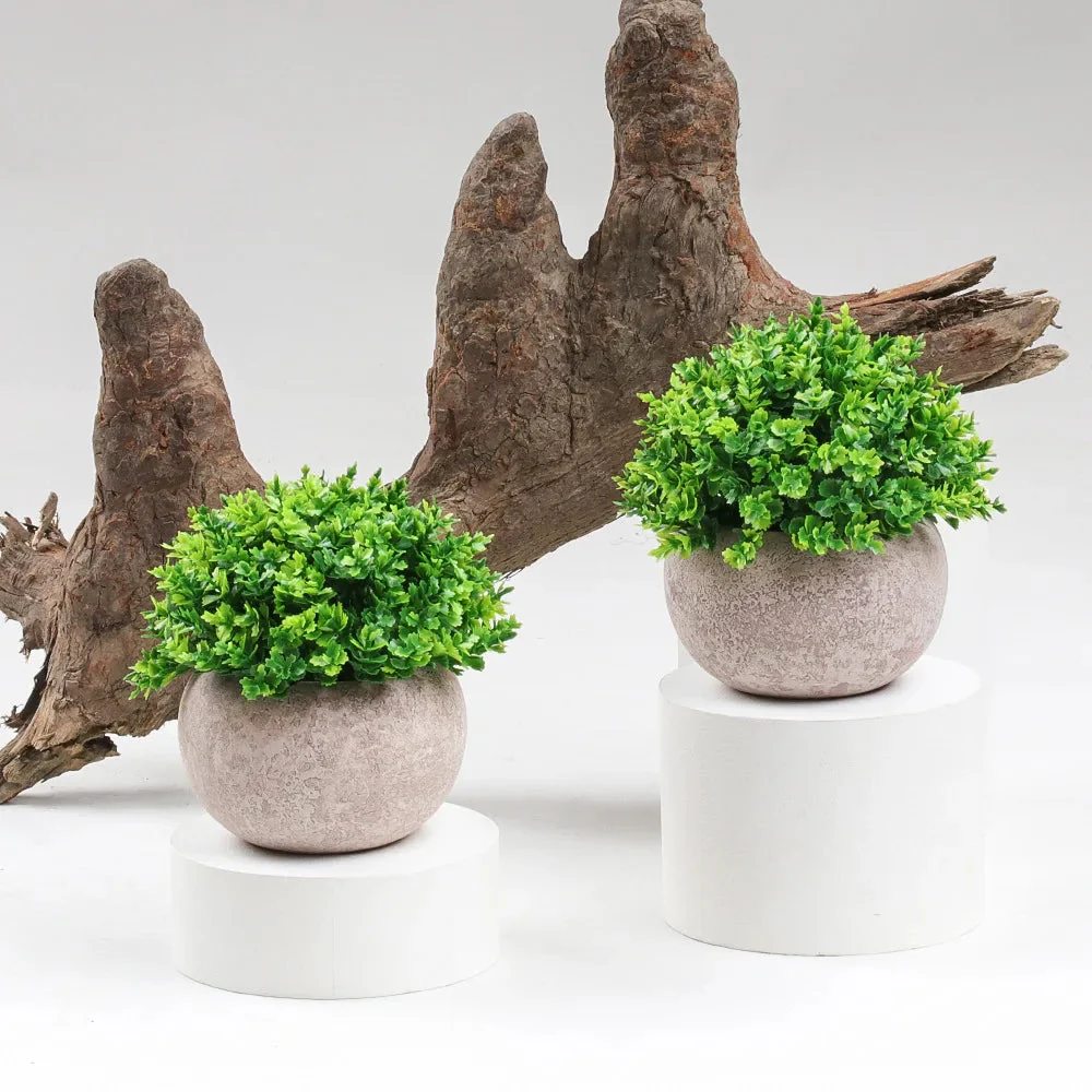 Miniature 3