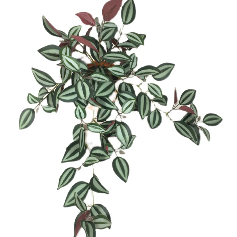Miniature 14
