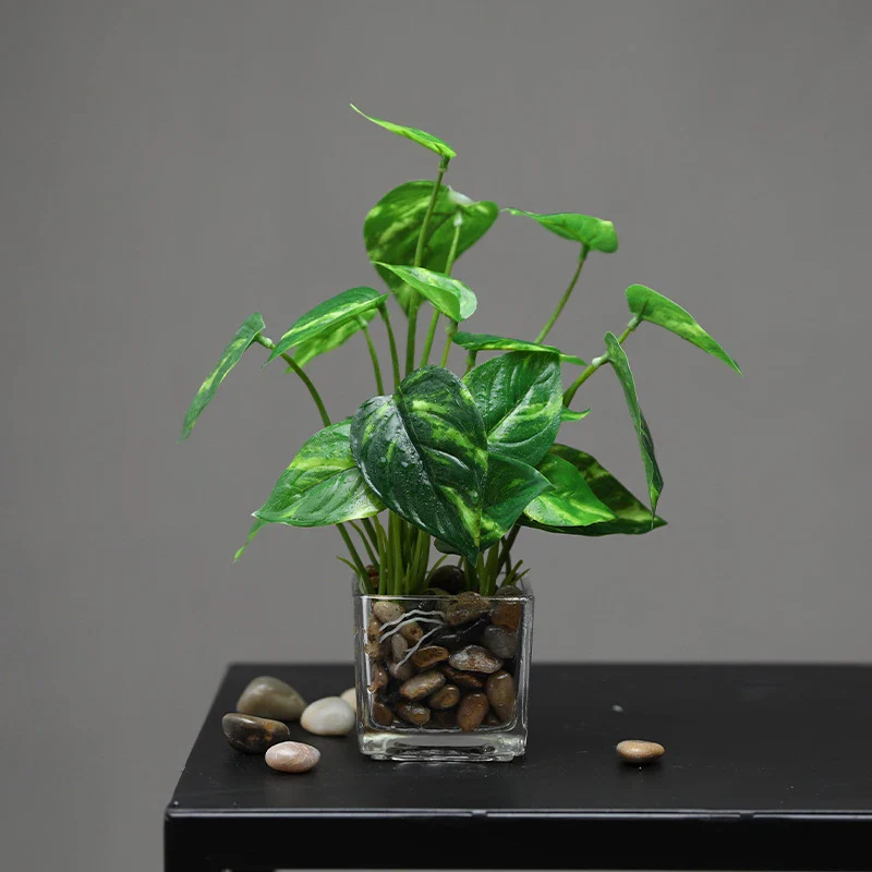 Miniature 6