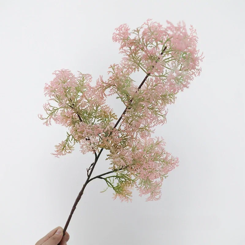 Miniature 7