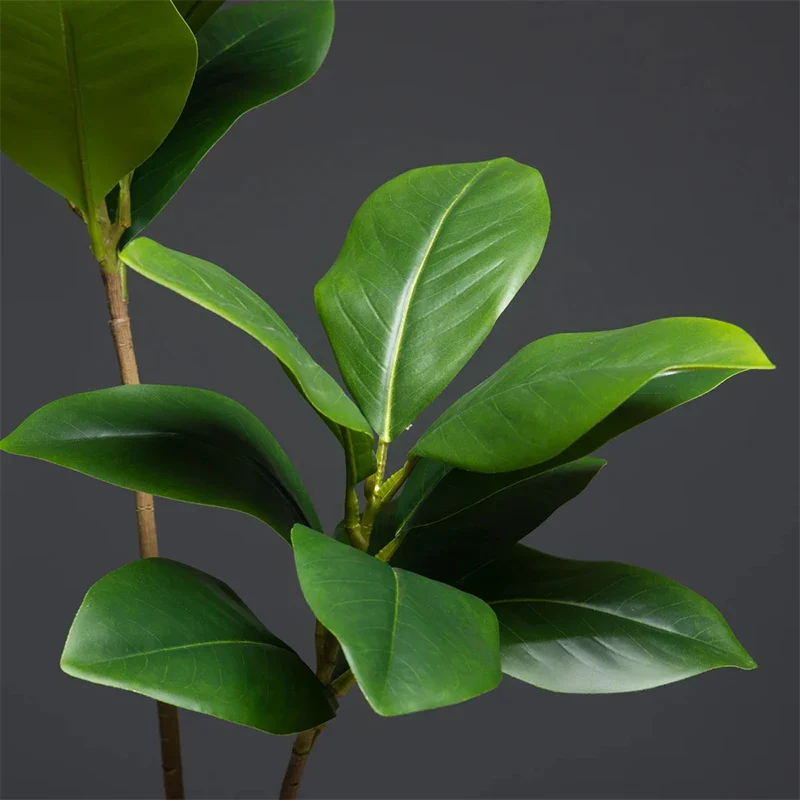 Miniature 5