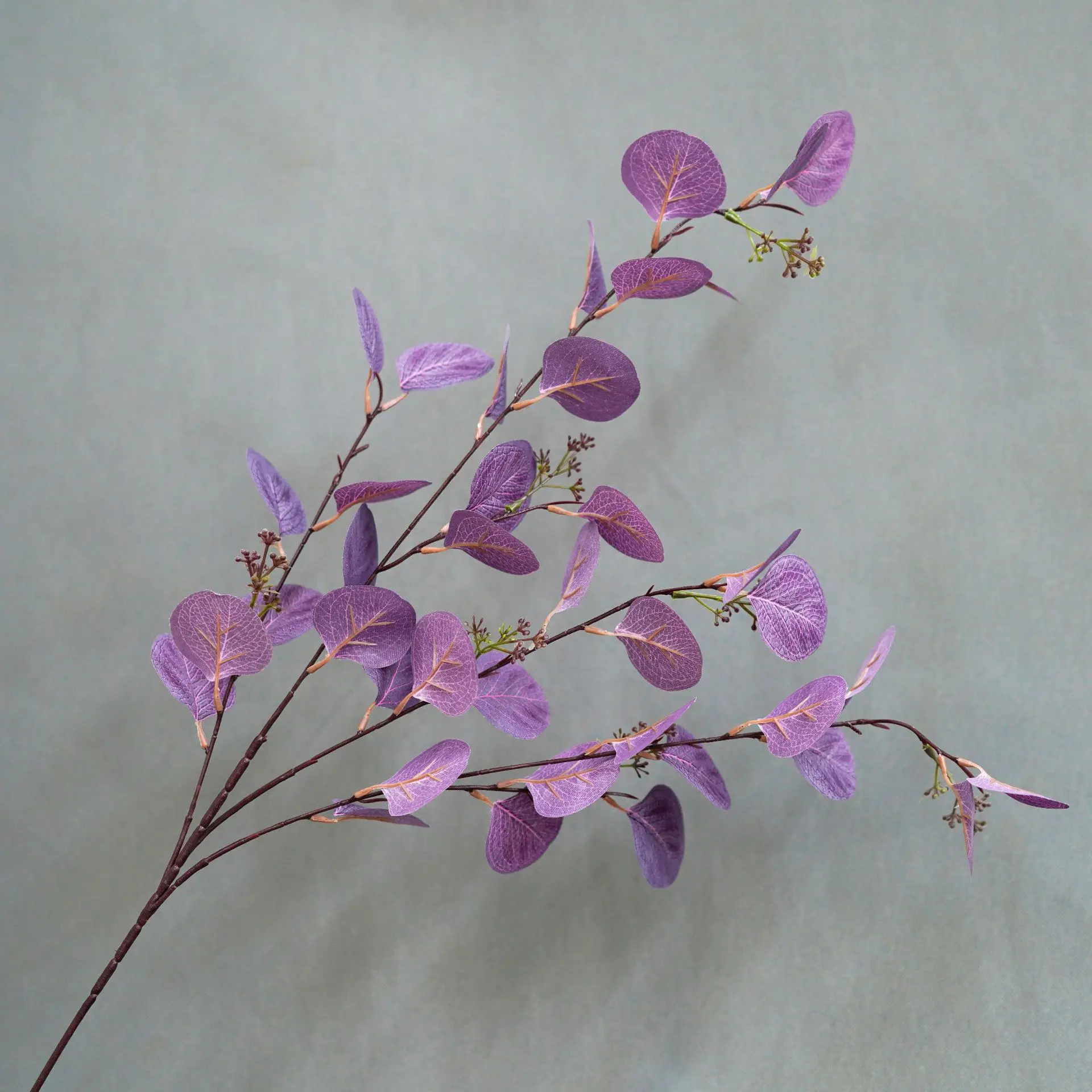 Miniature 16
