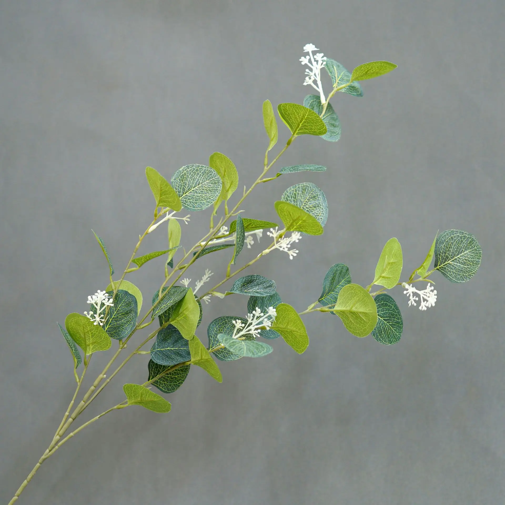 Miniature 5
