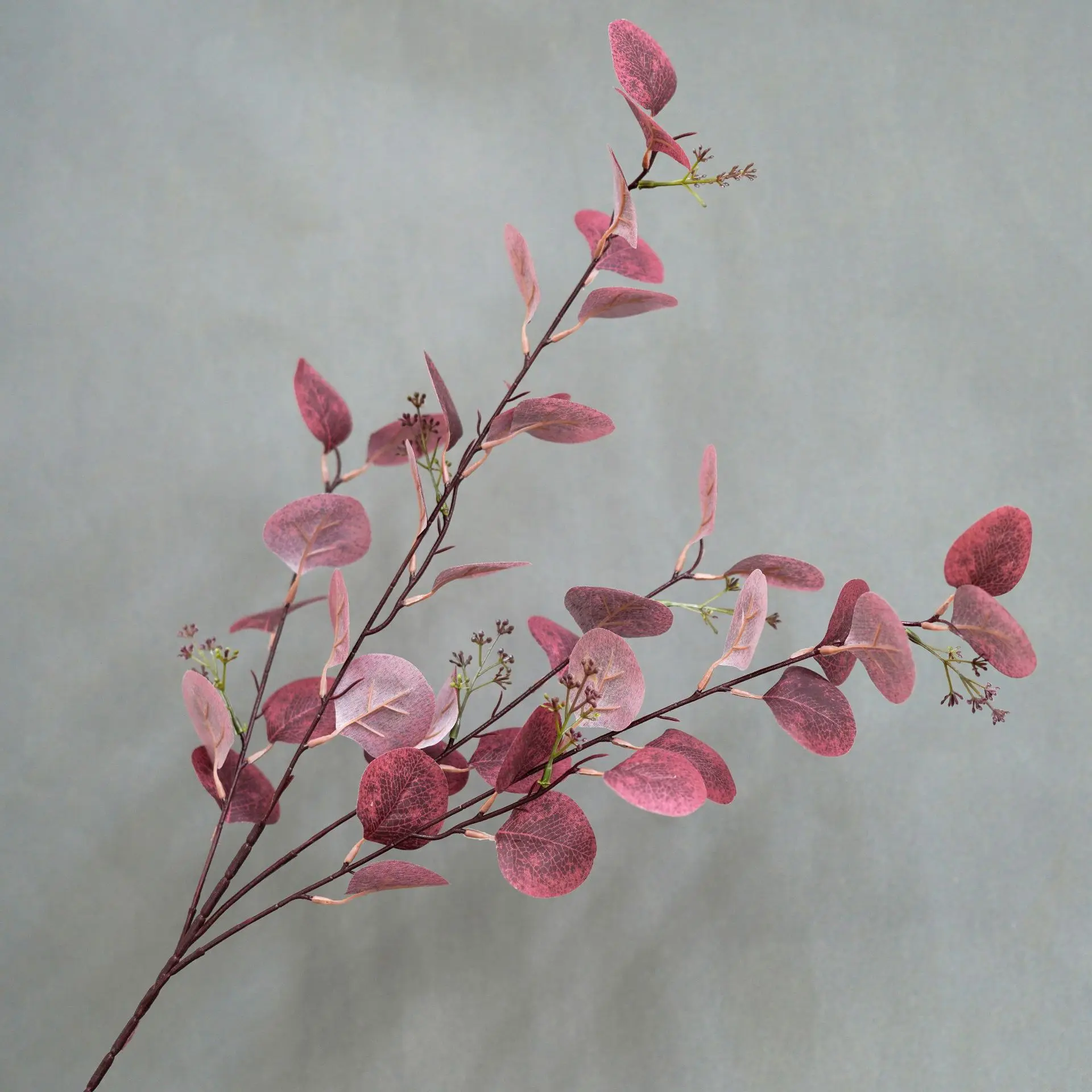 Miniature 16