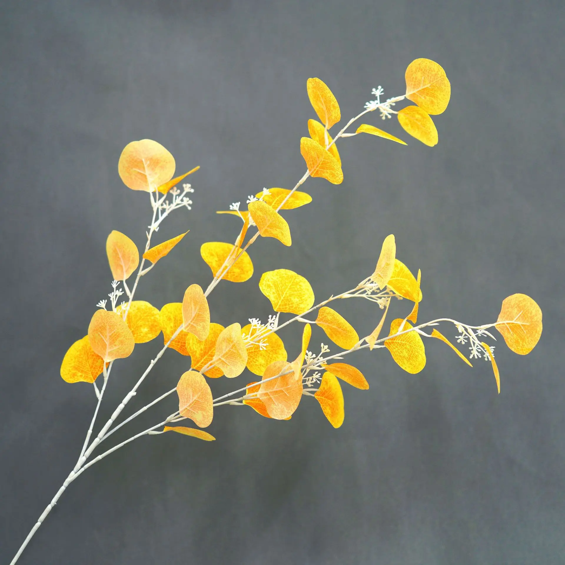 Miniature 8