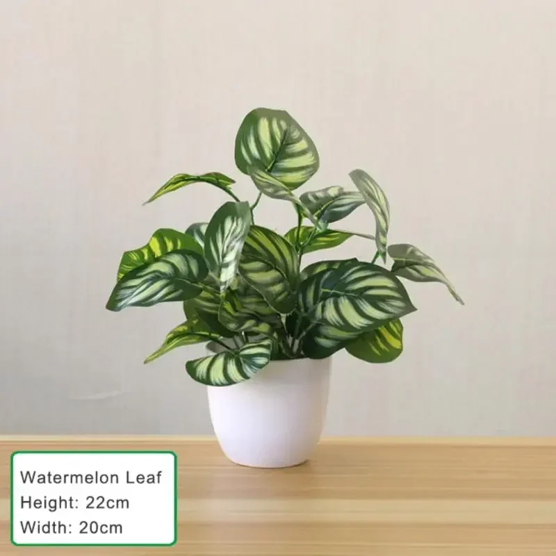 Miniature 7