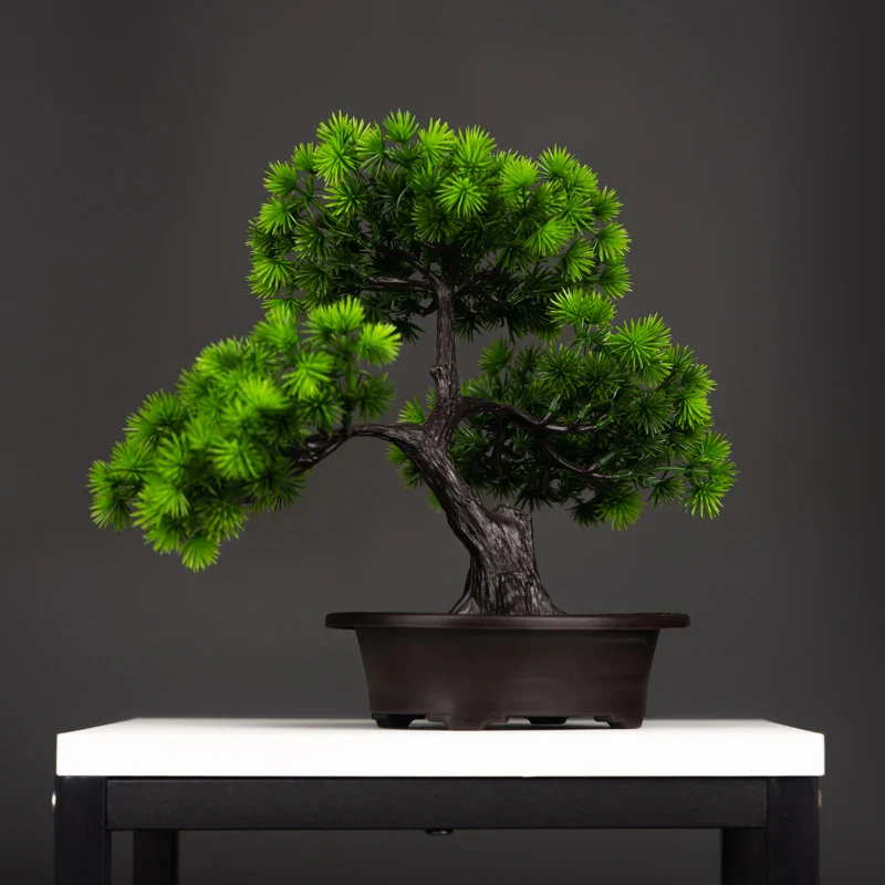 Miniature 3