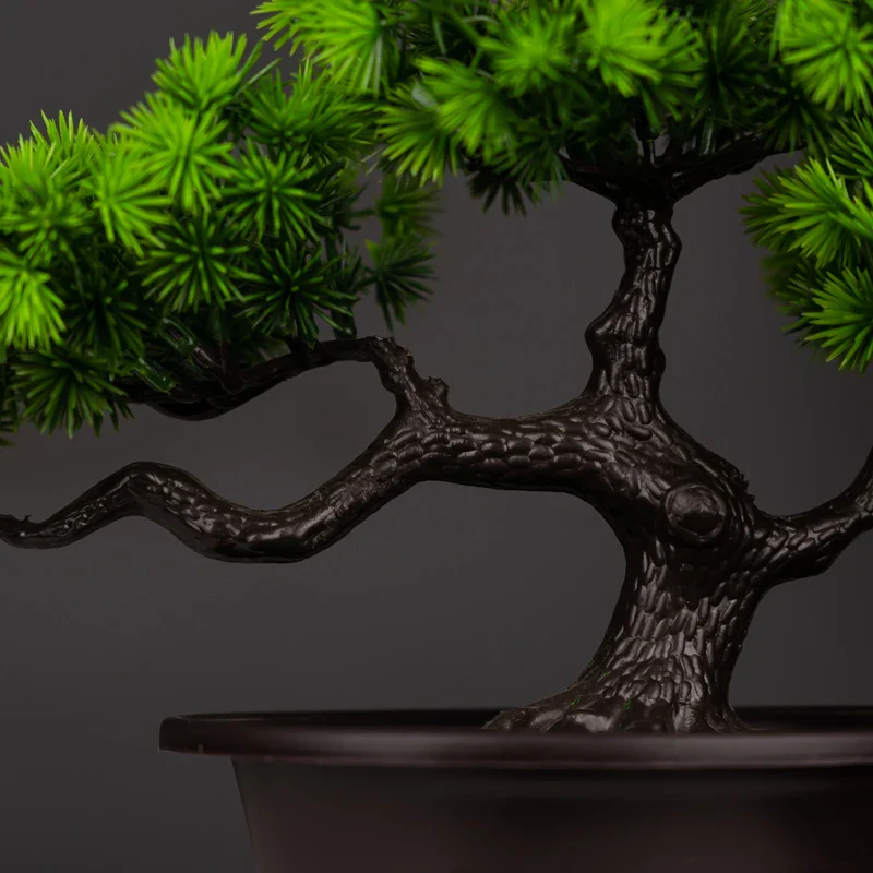 Miniature 5