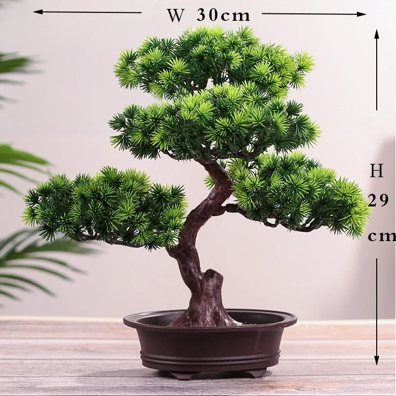 Miniature 5