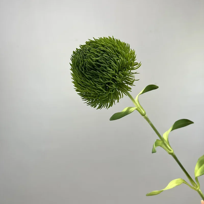 Miniature 7