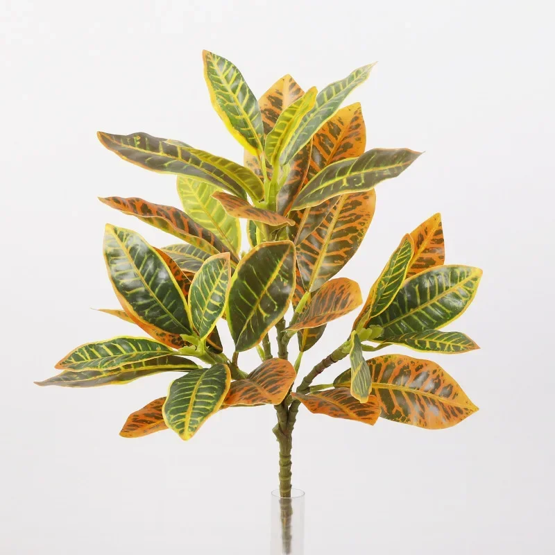 Miniature 5