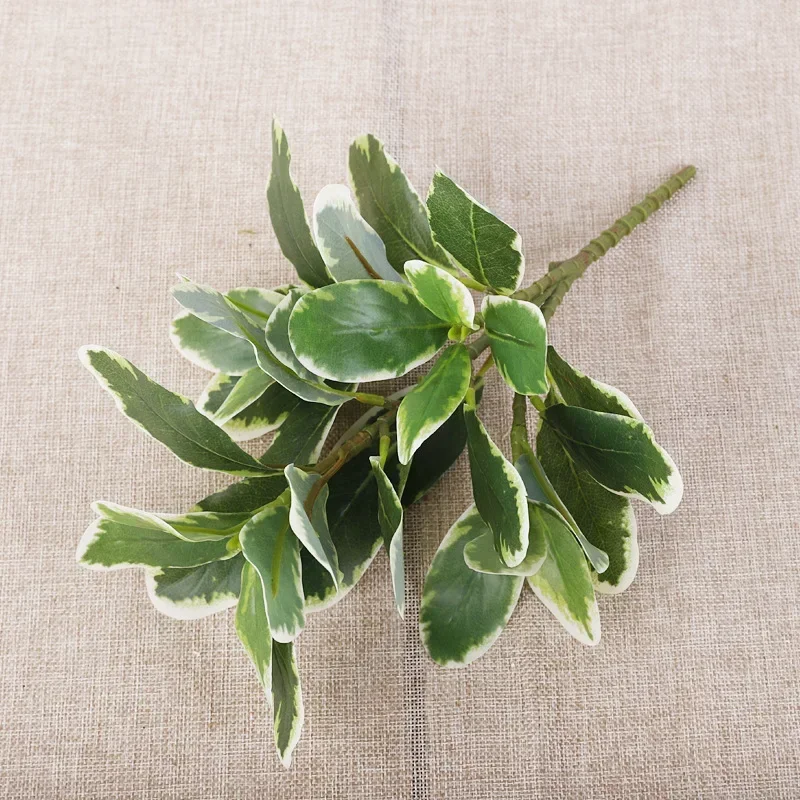 Miniature 6