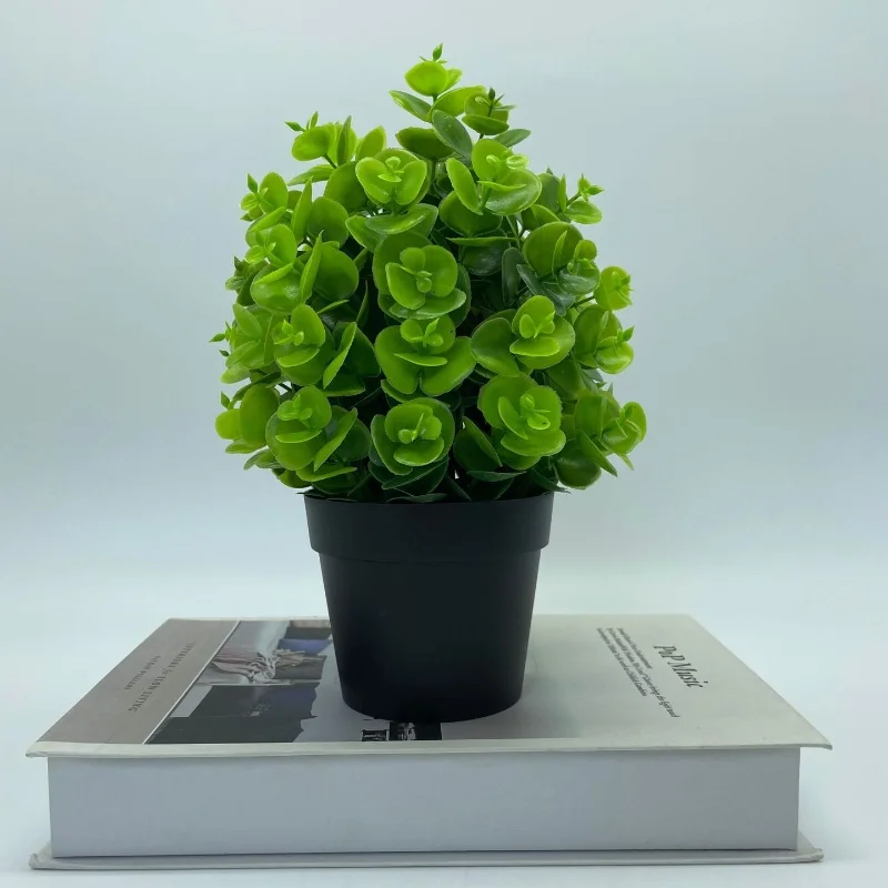 Miniature 6