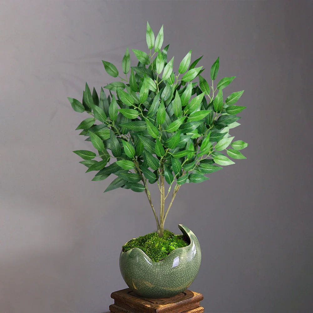 Miniature 5