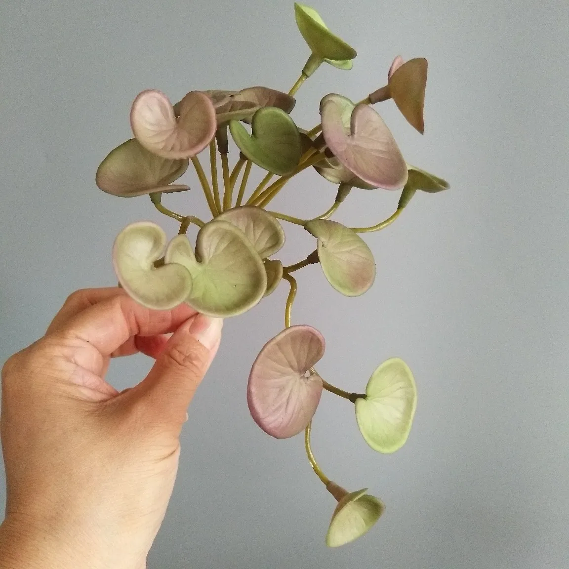 Miniature 8