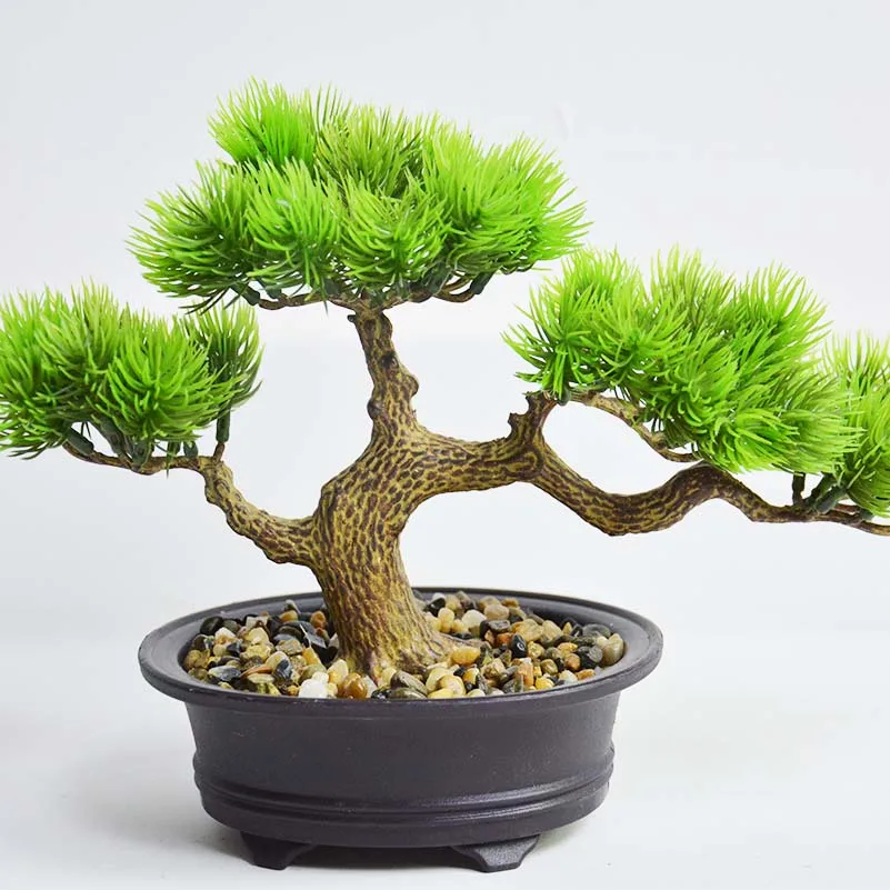 Miniature 5