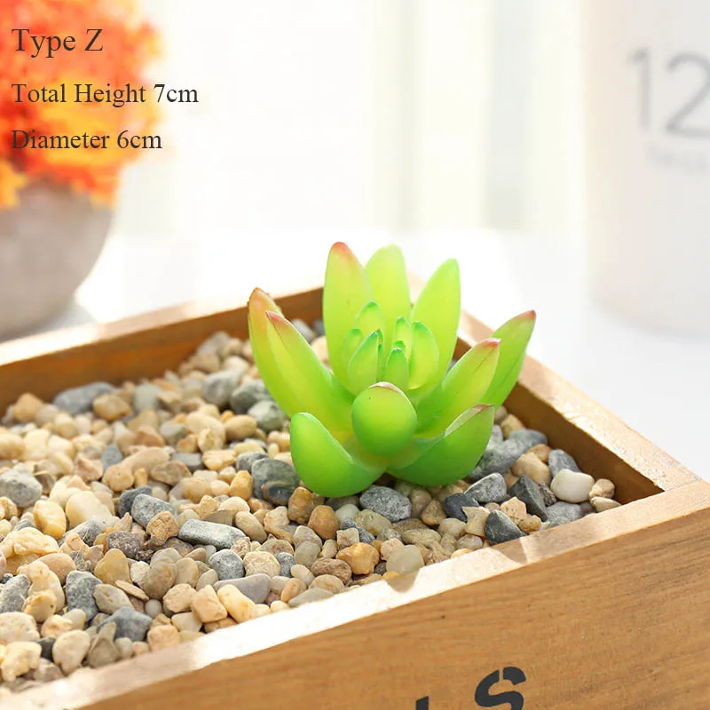 Miniature 5