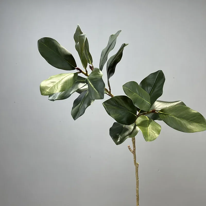 Miniature 4