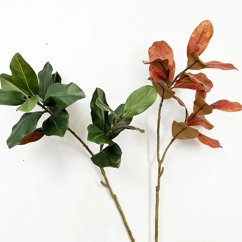 Miniature 5