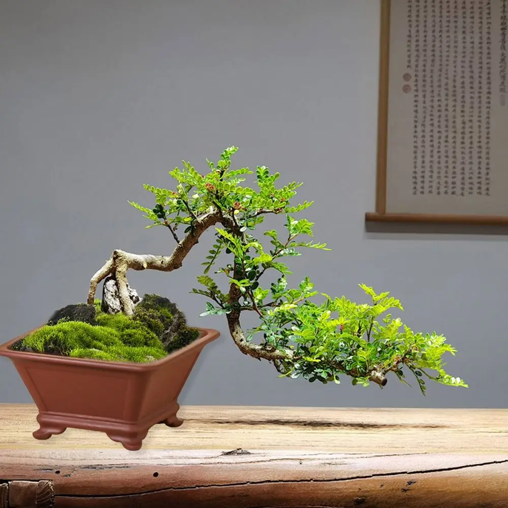 Miniature 10