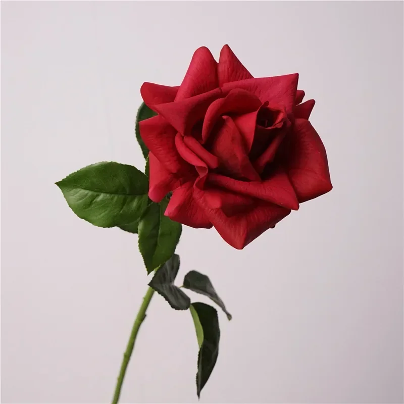 Miniature 5