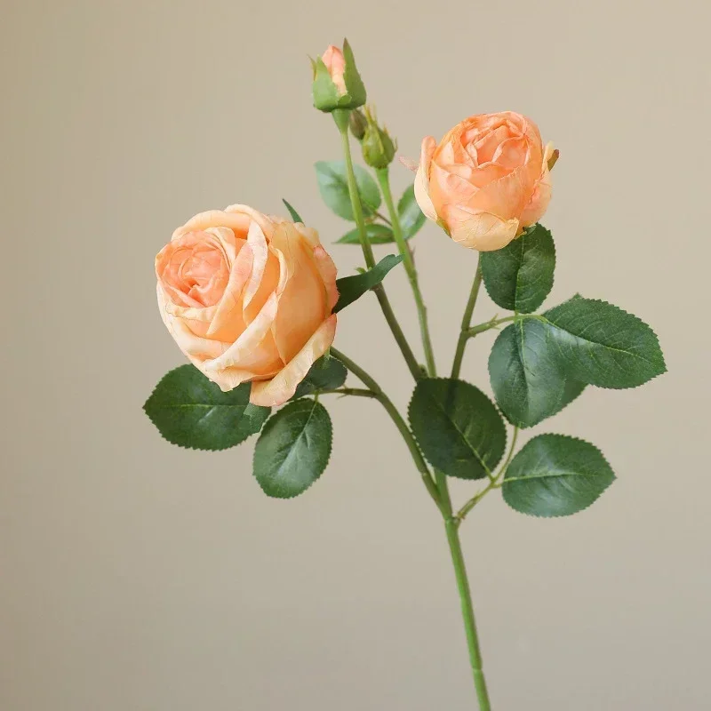Miniature 7