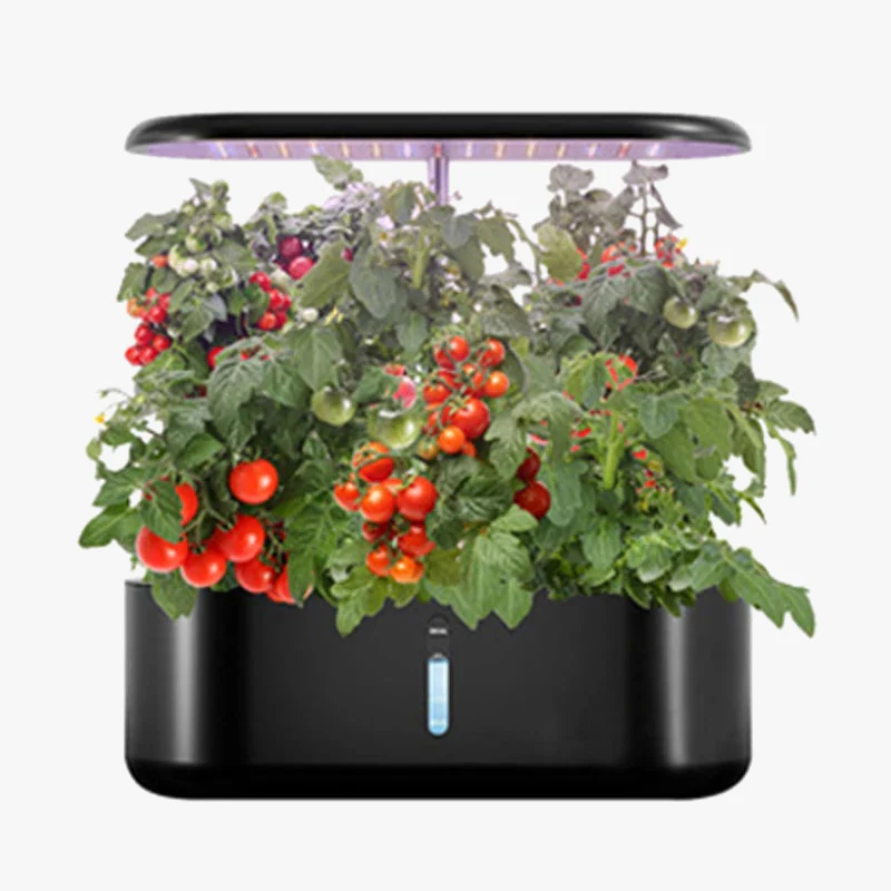 Miniature 6