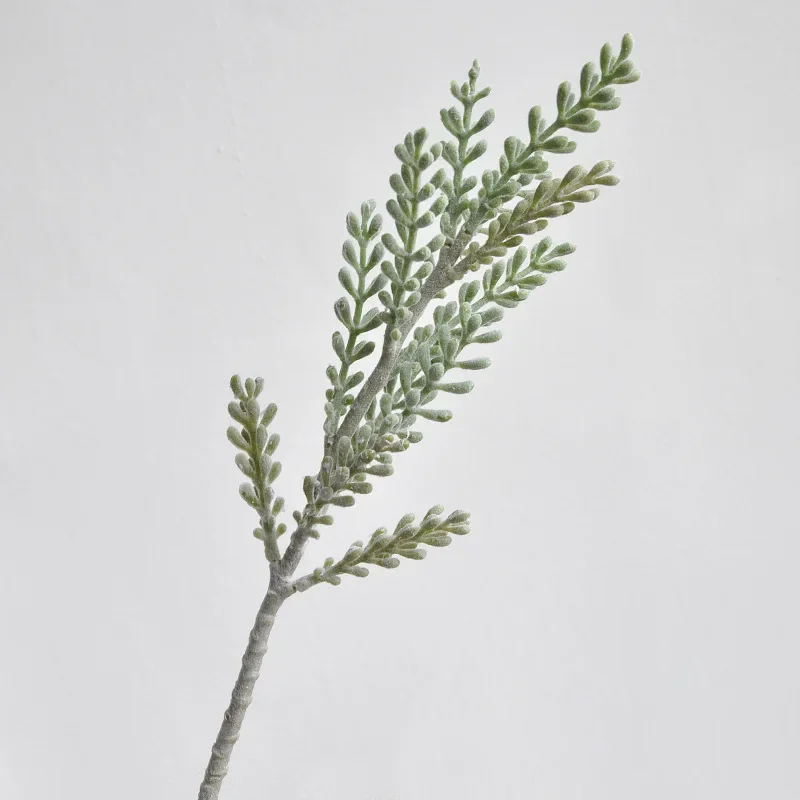 Miniature 4
