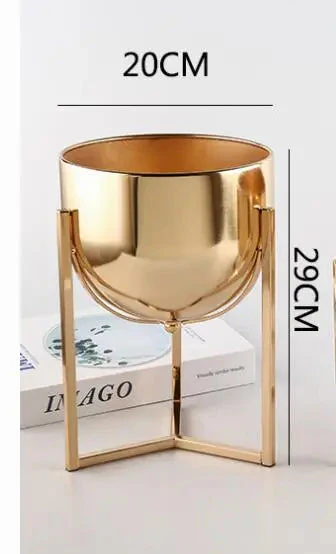 Miniature 7