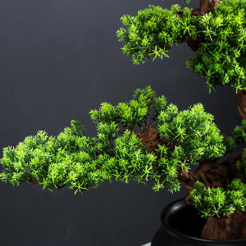 Miniature 6